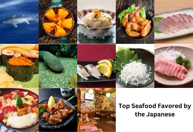 Top Seafood Favored by the Japanese tourdeparture